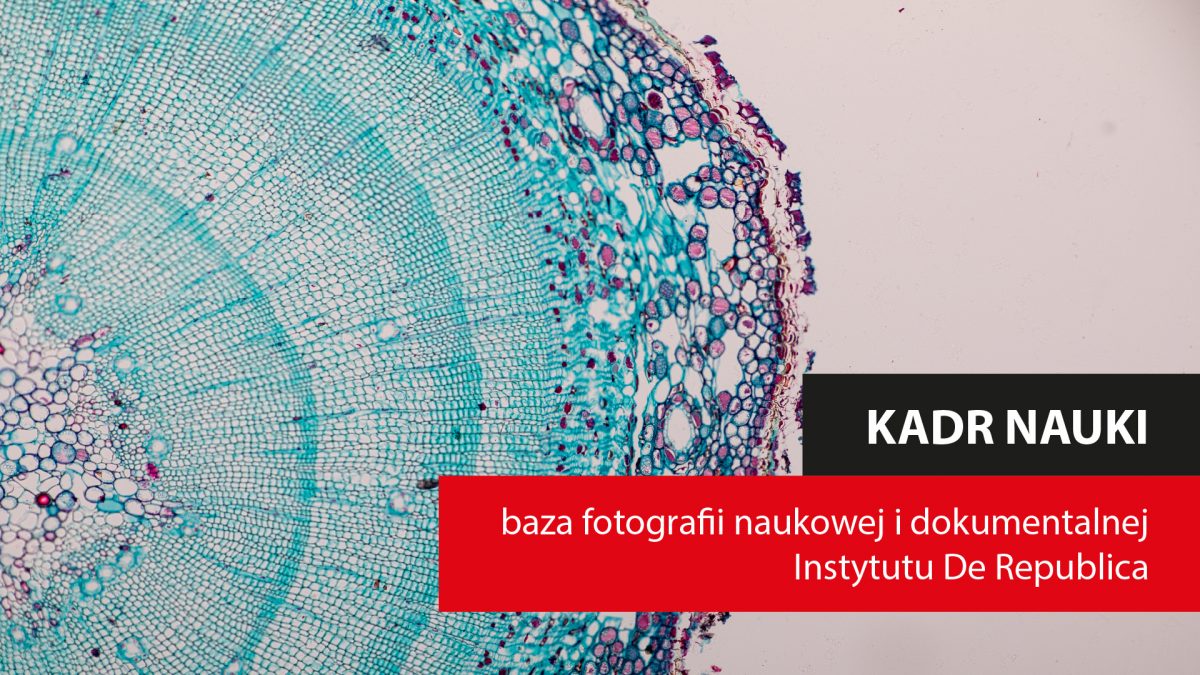 Instytut De Republica poszukuje fotografii dokumentujących polską naukę
