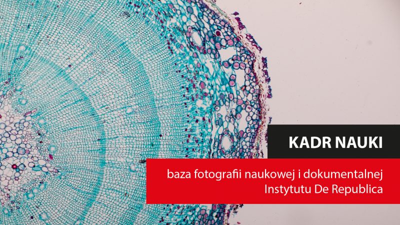 The Institute De Republica is looking for photographs documenting Polish science